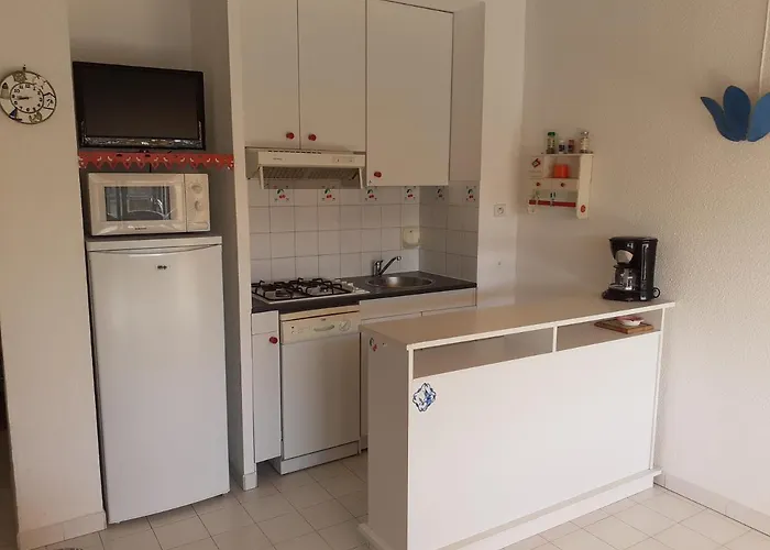 3 Pièces Terrasse Vue Et Piscine Richelieu Cap D'agde Agde